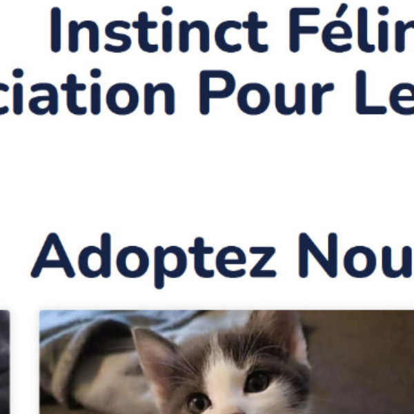 chats d'associations ( en fonction des périodes )