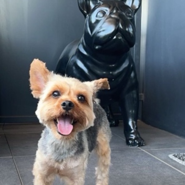 Taïko