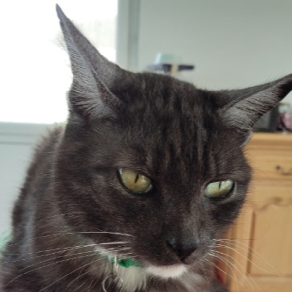 Yuki