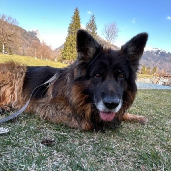 Mooki