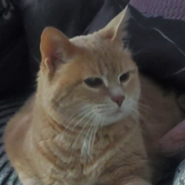 Eddy