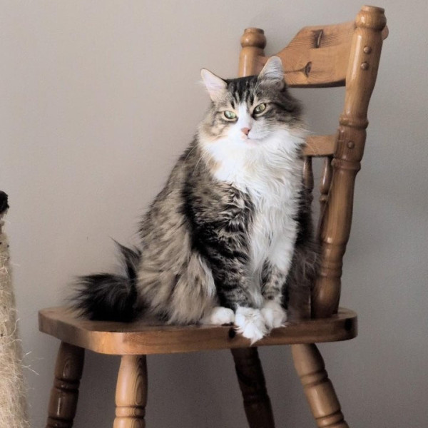 Hermione