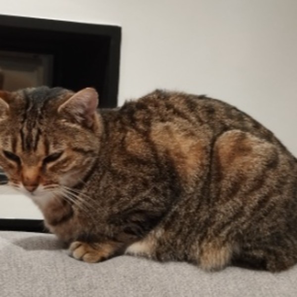 Lili