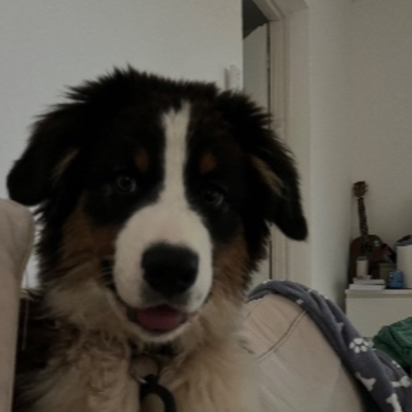 Photo de Bonnie