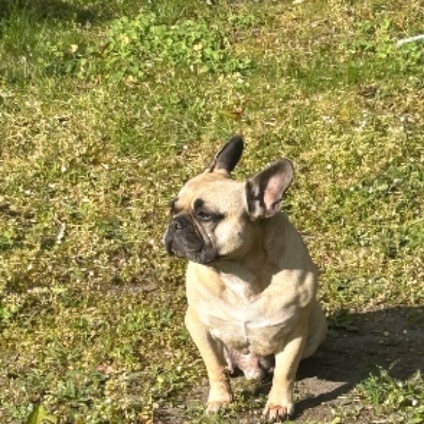 Photo de Tayson