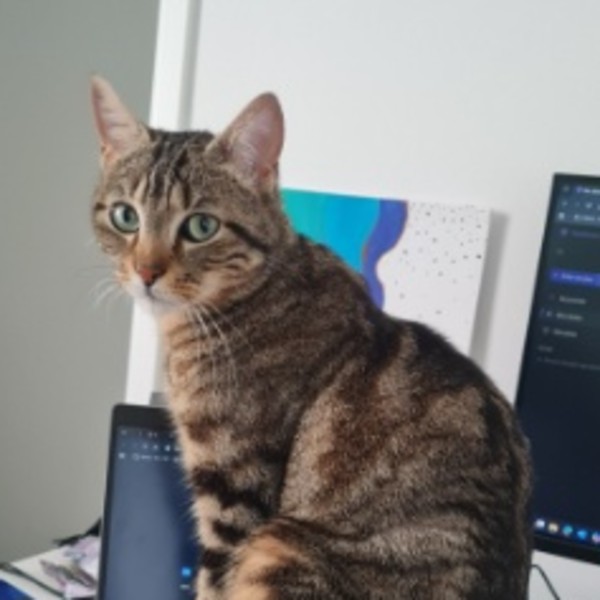 Milo
