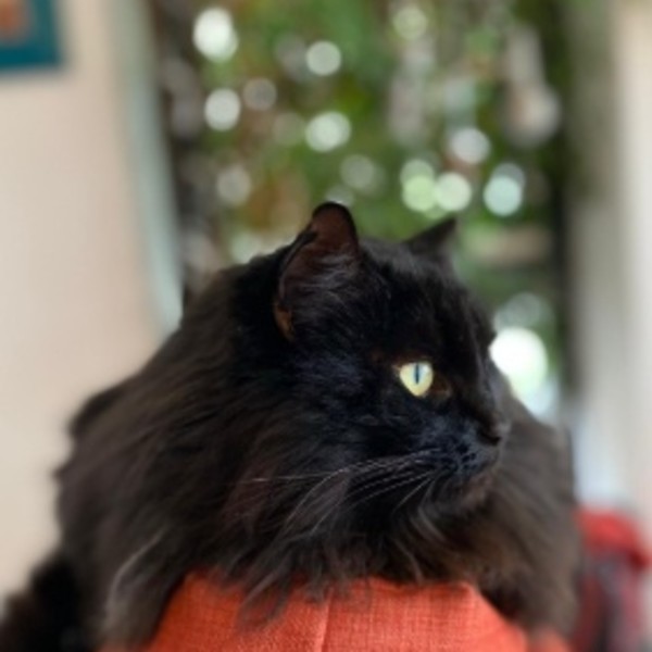 Photo de Hermione