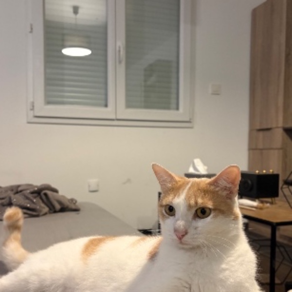 Rouxy