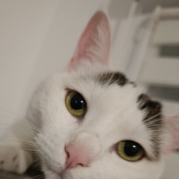 Bella