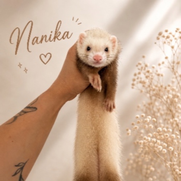 Nanika
