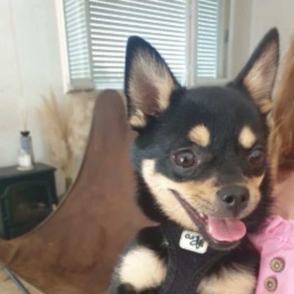 Mya