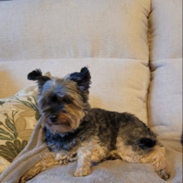 Photo de Nala