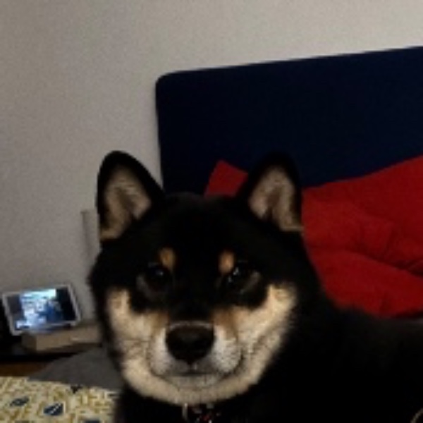 Ushiro