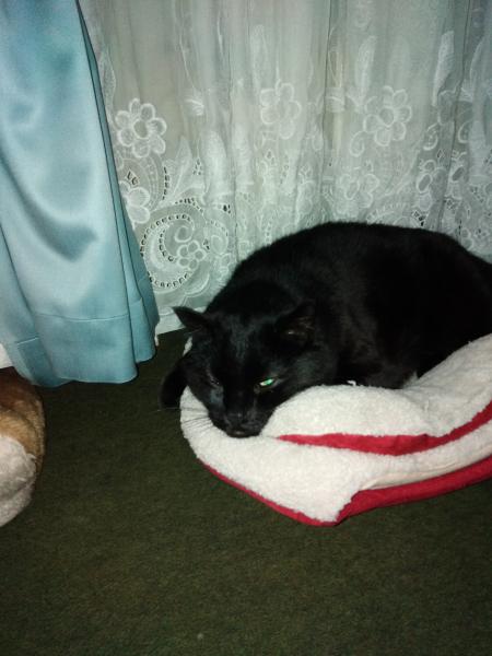 BLACKIE