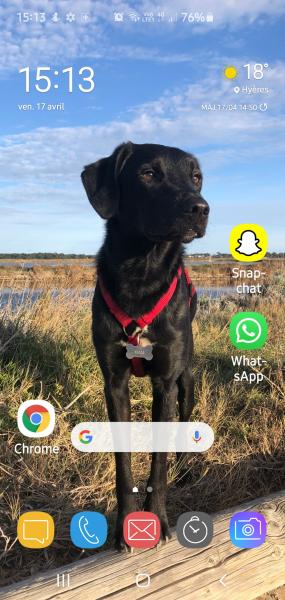 Nooky