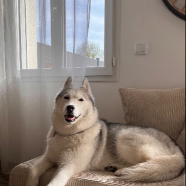 Luna