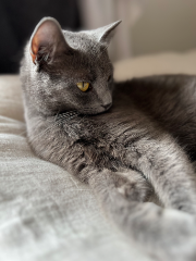 Mia