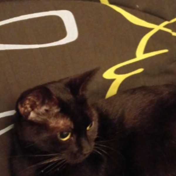 Nala
