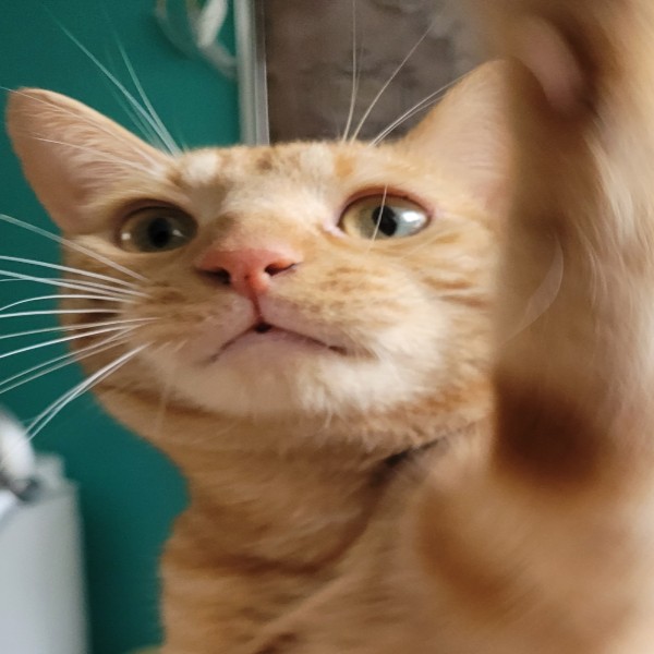 Tim