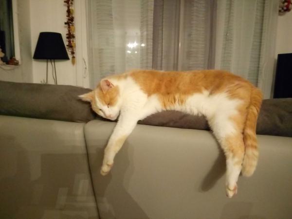 BOUBOULE