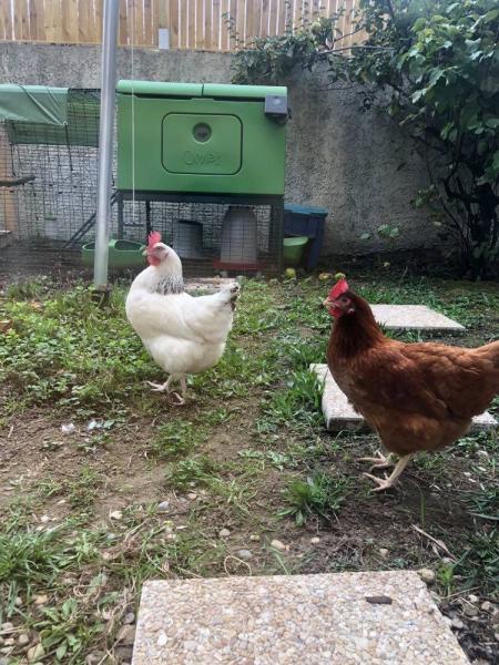 Claudia, Soren et Zym