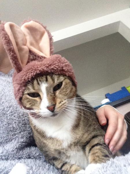 Doudou