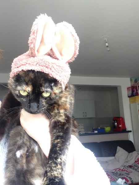 Minette