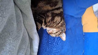 Bijoux