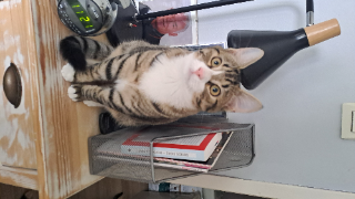 Charlie