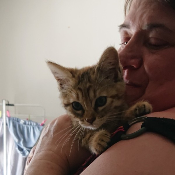 Minette