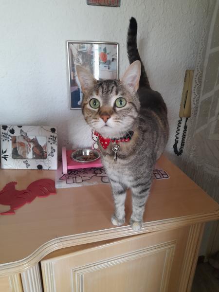 Lola
