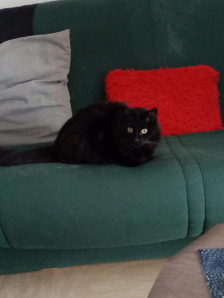 Tigrou