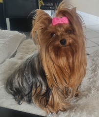 Nina