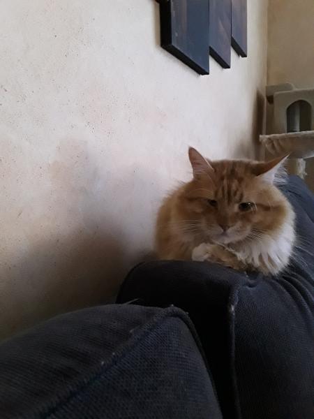 Jack