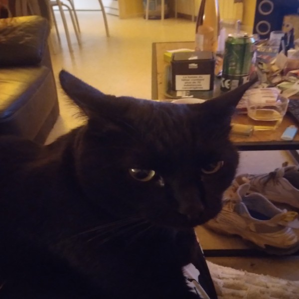 Blacky
