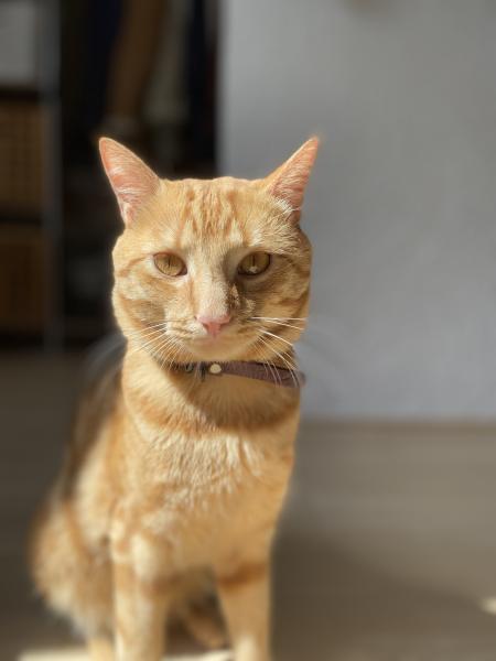 Maïky