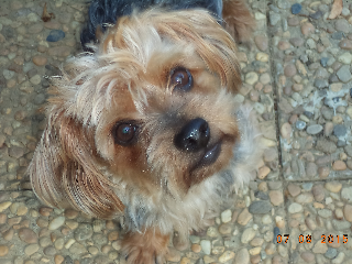 BO-IN