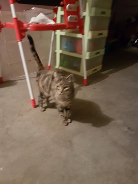 Mimi