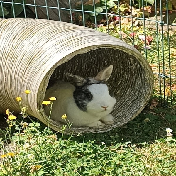 Bugzy