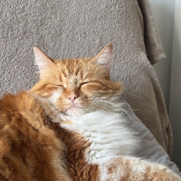 Oscar