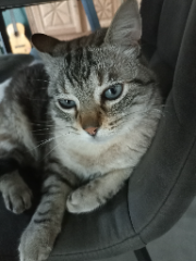 Kusko