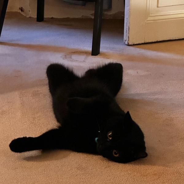 Yuki