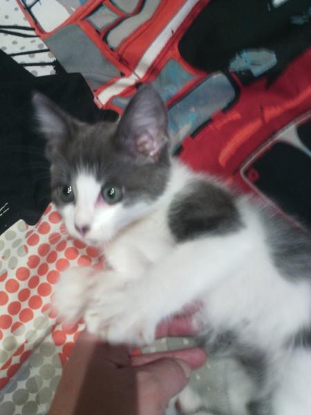 marley