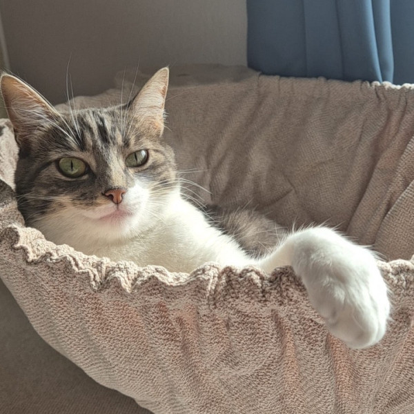 Yumie