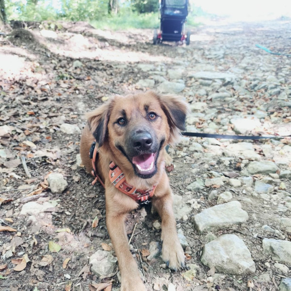 Nova