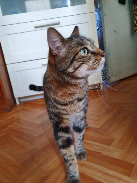 Kizzy