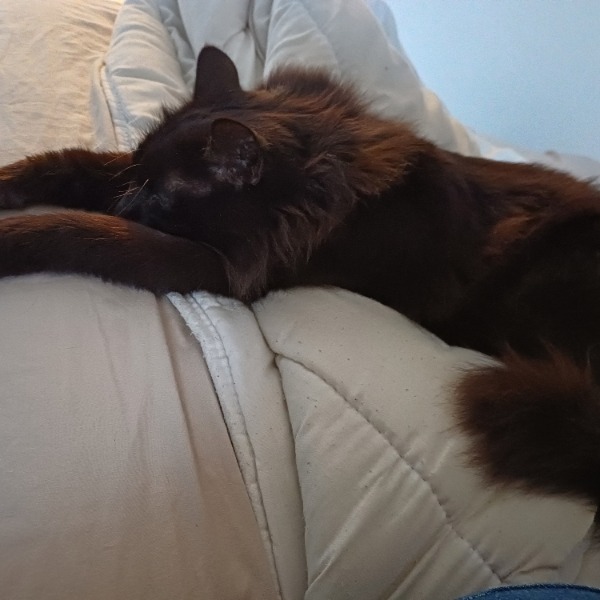 Mimi