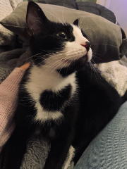 Peaky