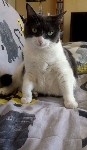 Lili