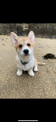 Happy